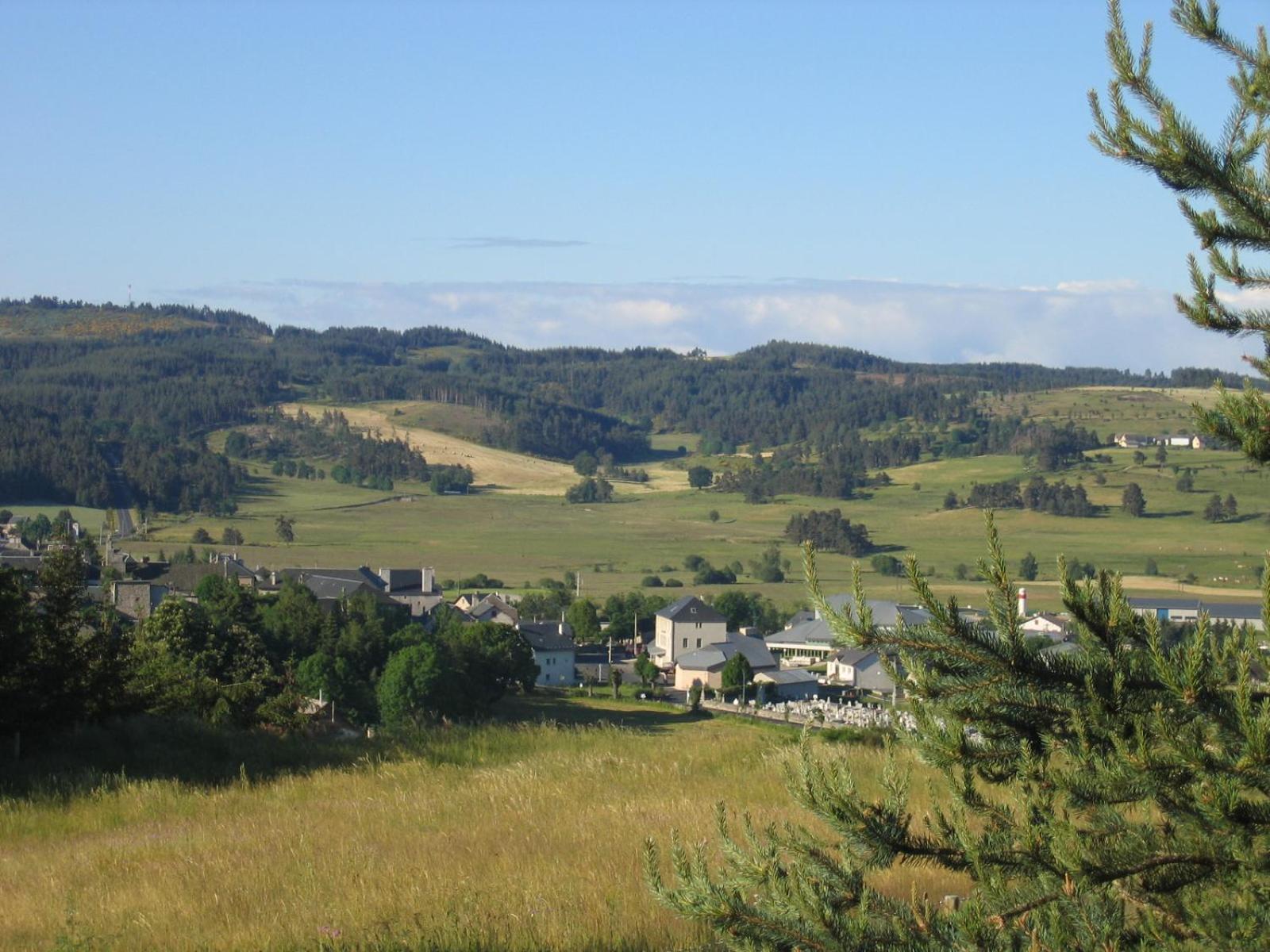 Ferienwohnung Lozere Aubrac Margeride Promo Saint-Alban-sur-Limagnole Exterior foto