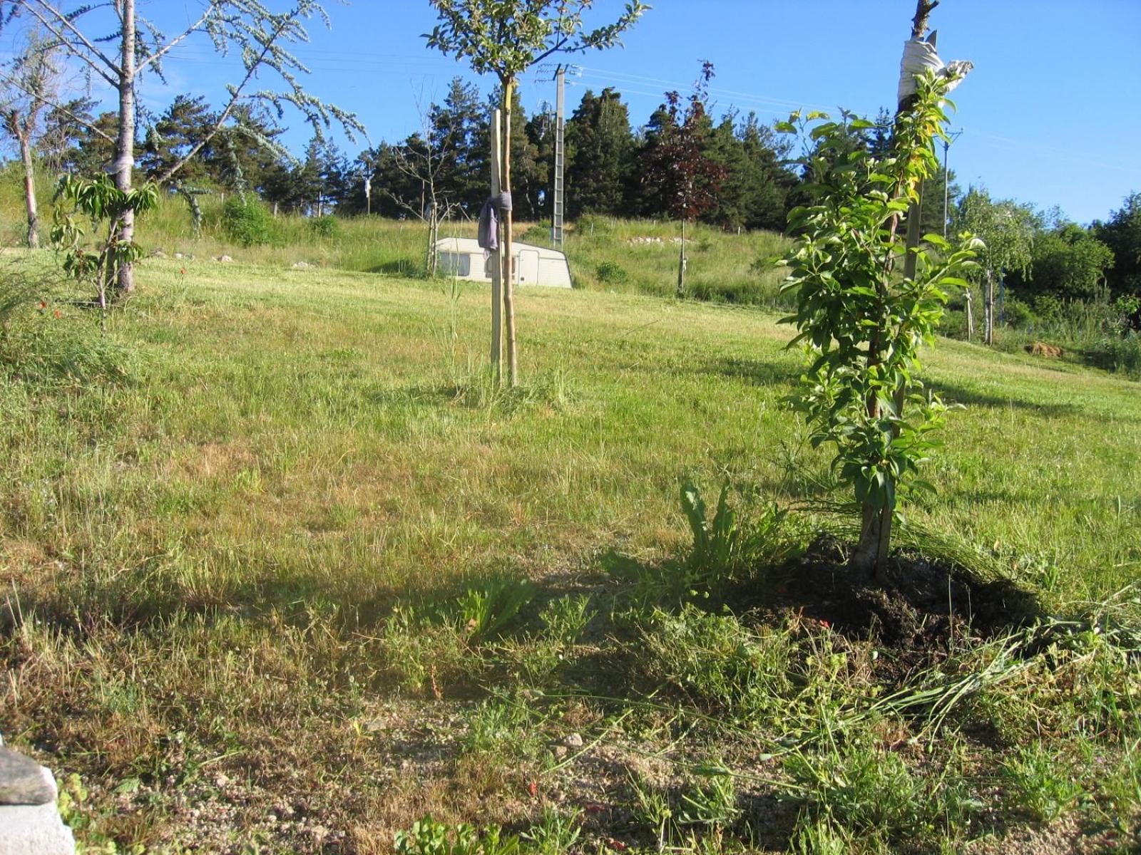 Ferienwohnung Lozere Aubrac Margeride Promo Saint-Alban-sur-Limagnole Exterior foto